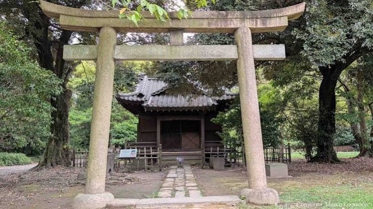 Een stenen torii voor een klein houten schrijn tussen de bomen